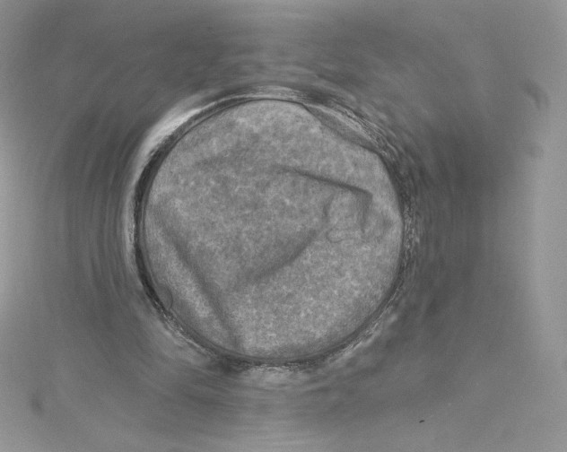 X0000114650294200911171056