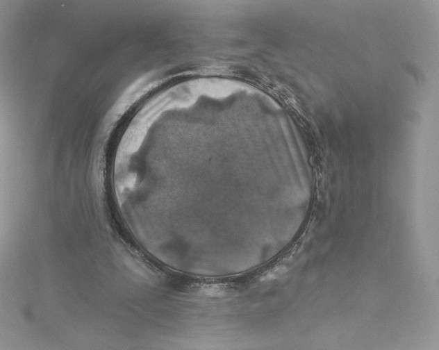 X0000114650295200911171056