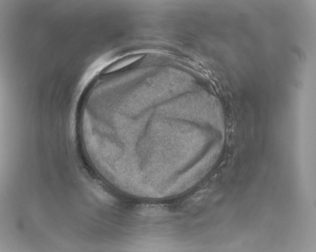 X0000114650296200911171056