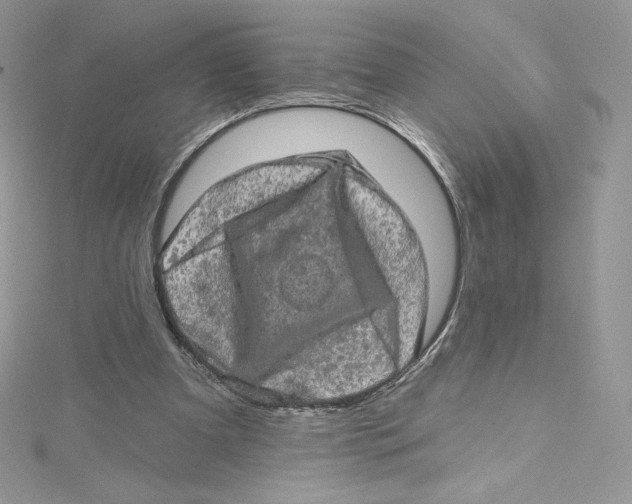 X0000114650297200911171056