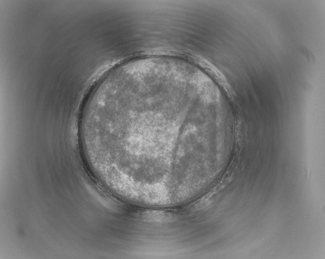 X0000114650298200911171056