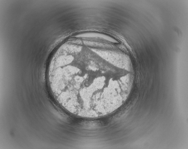 X0000114650299200911171056