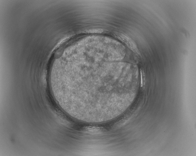 X0000114650300200911171056