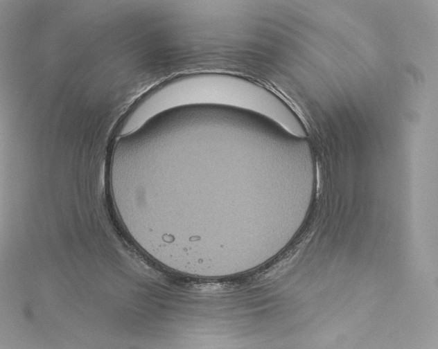 X0000114650301200911171056