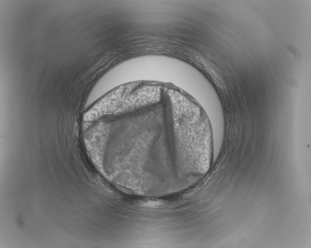 X0000114650313200911171056