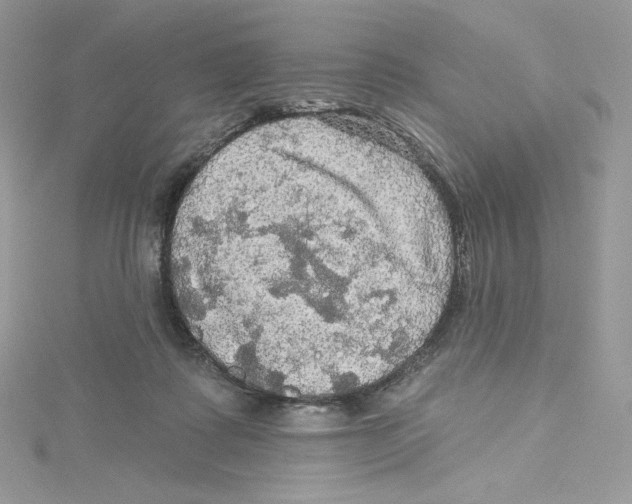 X0000114650315200911171055