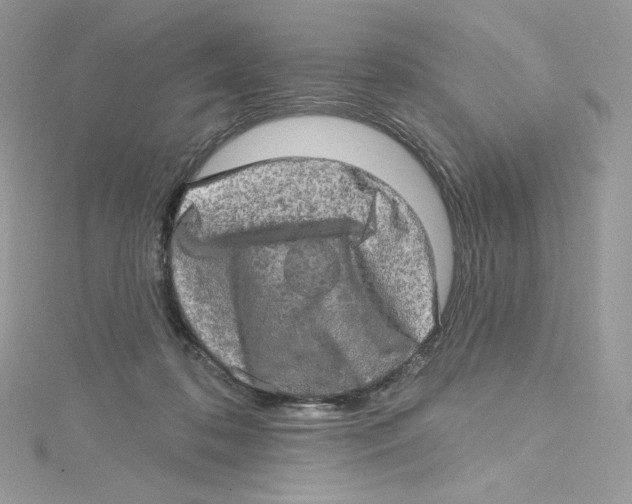 X0000114650316200911171055