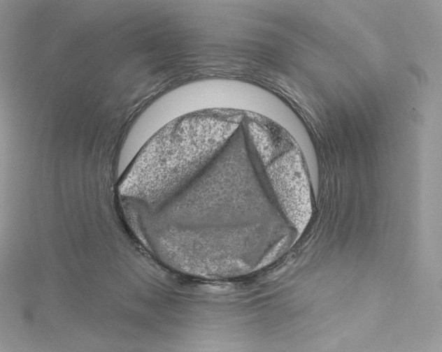 X0000114650317200911171055