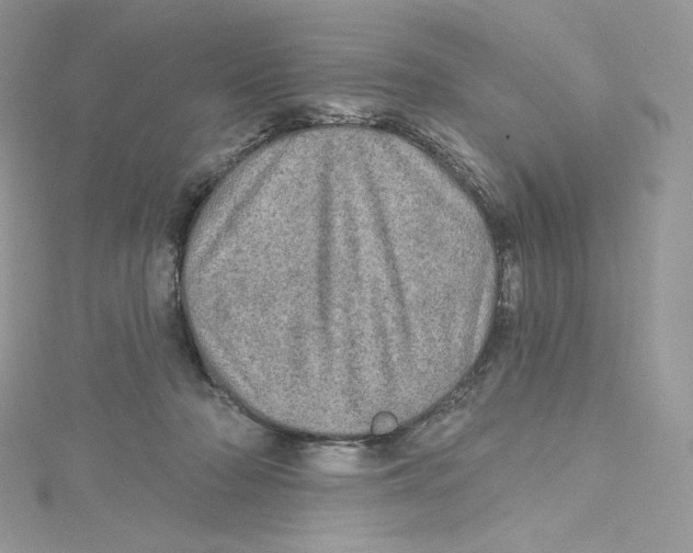 X0000114650318200911171055