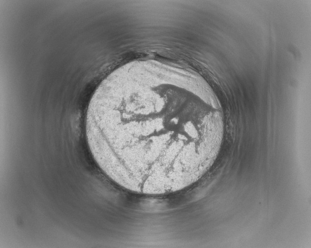 X0000114650319200911171055