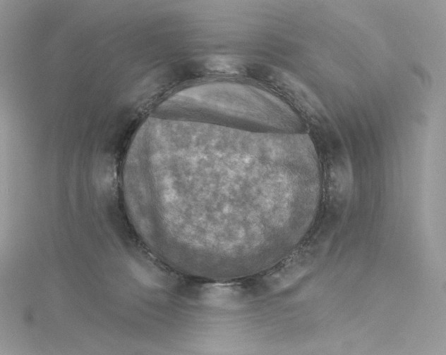 X0000114650320200911171055