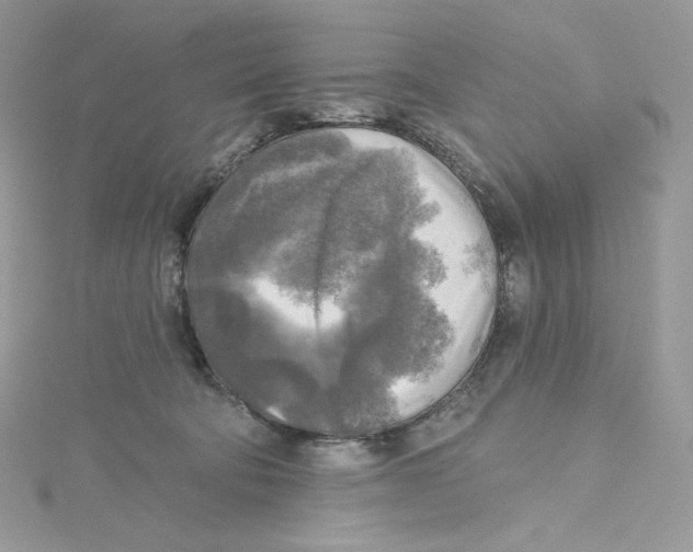 X0000114650322200911171055