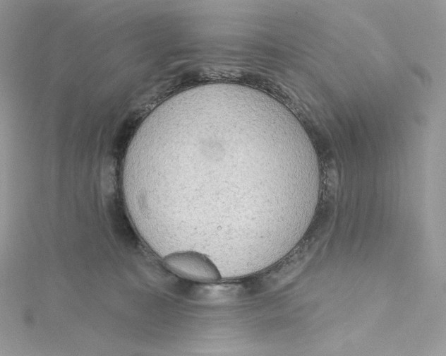 X0000114650323200911171055