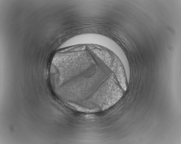 X0000114650324200911171055