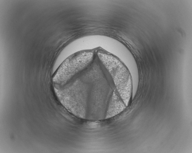 X0000114650325200911171055