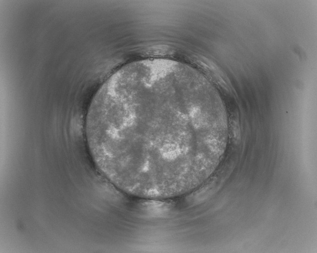 X0000114650326200911171055