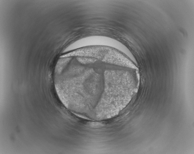 X0000114650327200911171055