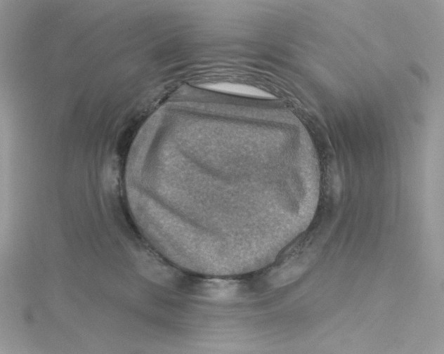 X0000114650328200911171055