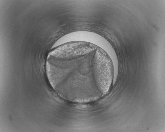 X0000114650332200911171055