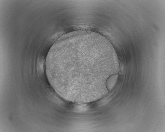 X0000114650334200911171055