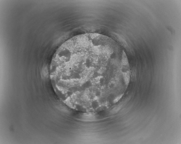 X0000114650335200911171055