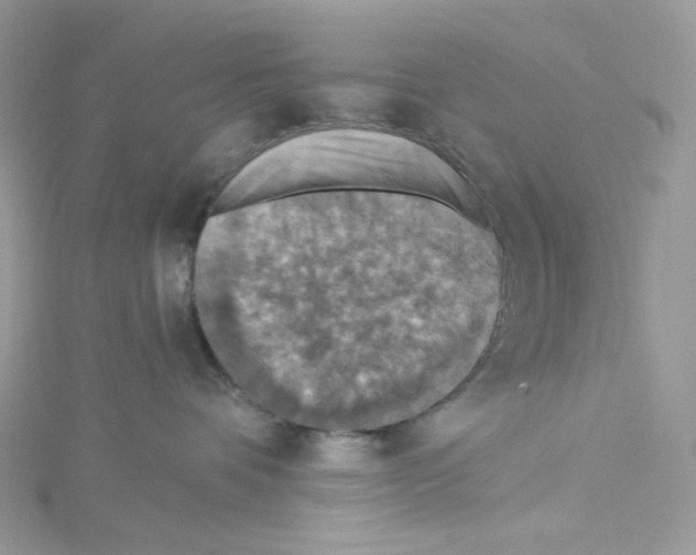 X0000114650336200911171055