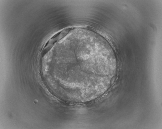 X0000114650337200911171054