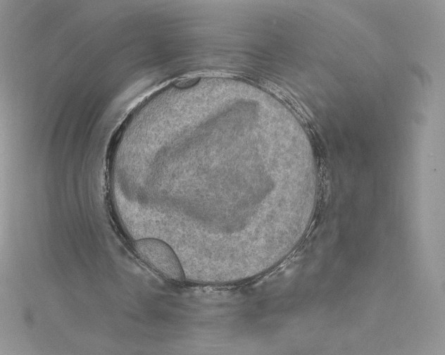 X0000114650338200911171054