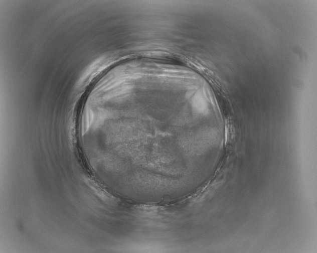 X0000114650339200911171054