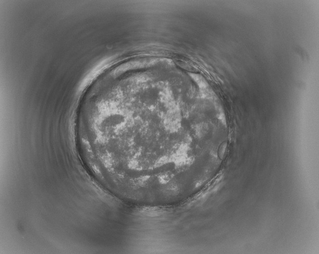 X0000114650341200911171054