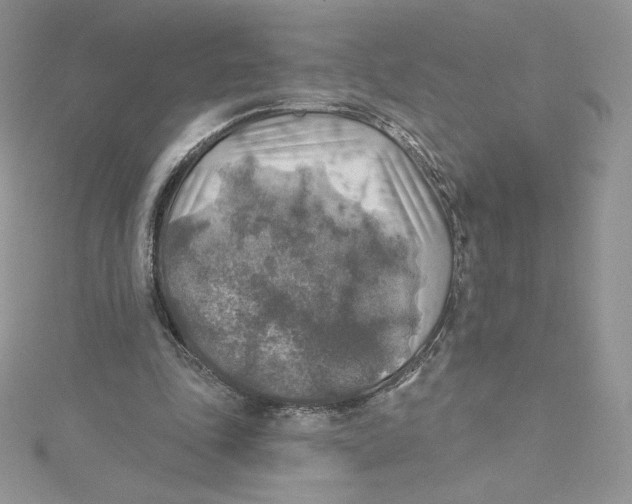 X0000114650343200911171055