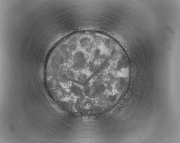 X0000114650345200911171055