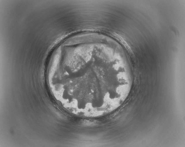 X0000114650346200911171055