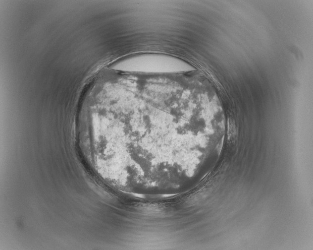 X0000114650349200911171055