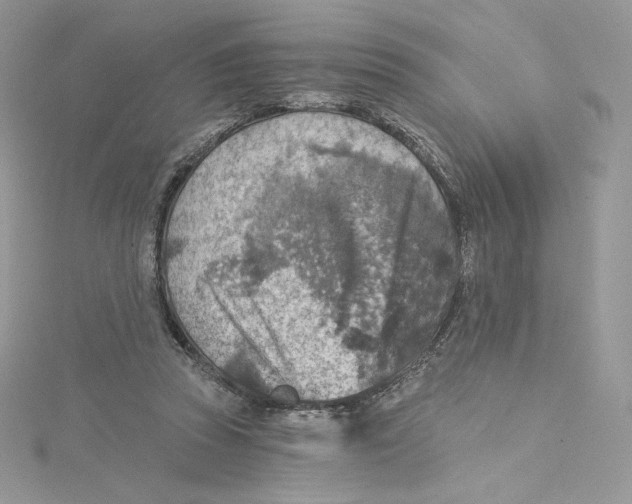 X0000114650353200911171055