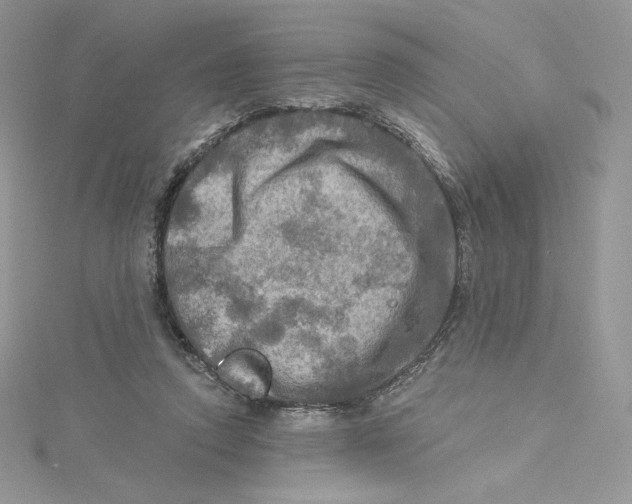 X0000114650354200911171055