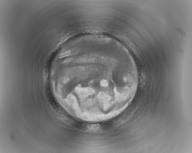 X0000114650355200911171055