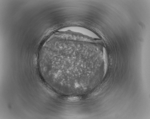 X0000114650357200911171055