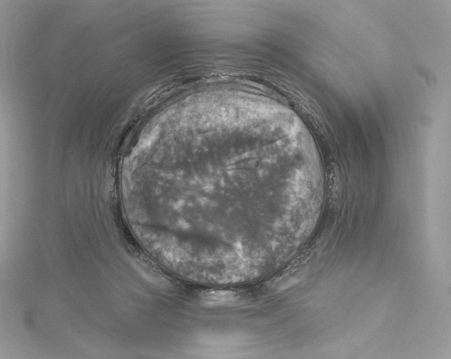 X0000114650361200911171055