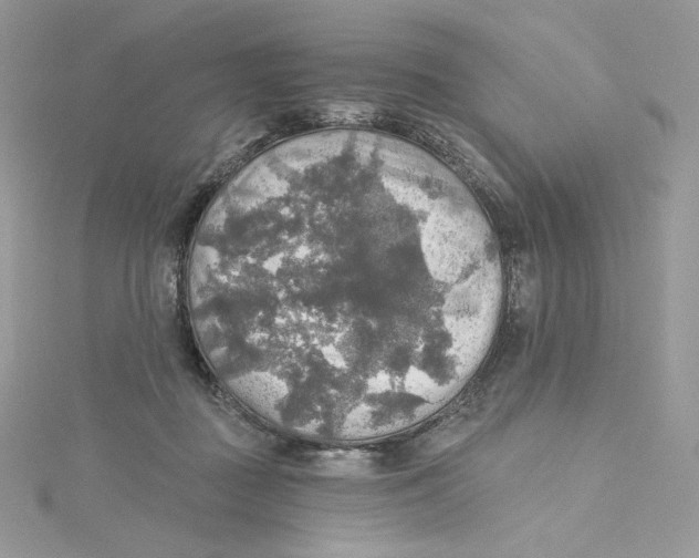 X0000114650363200911171055