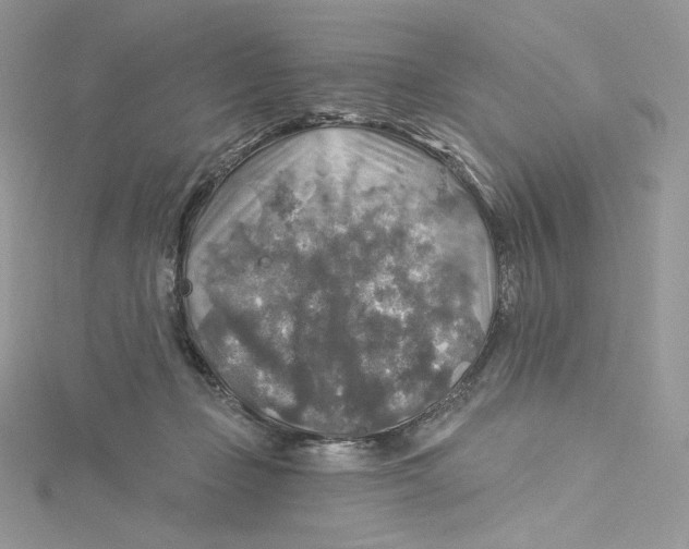 X0000114650365200911171055