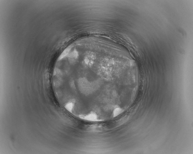 X0000114650366200911171055