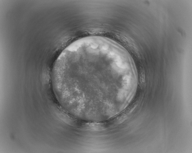 X0000114650367200911171055