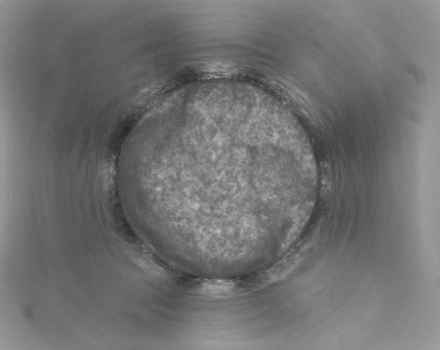 X0000114650369200911171055