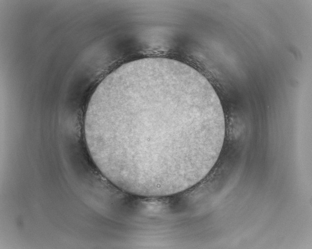 X0000114650370200911171055