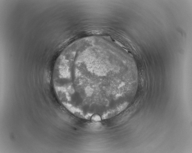 X0000114650374200911171055