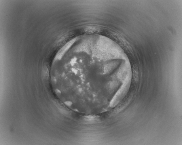 X0000114650375200911171055