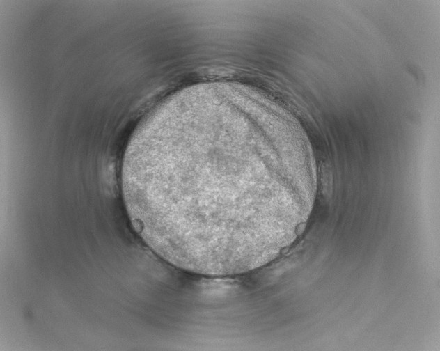 X0000114650378200911171055