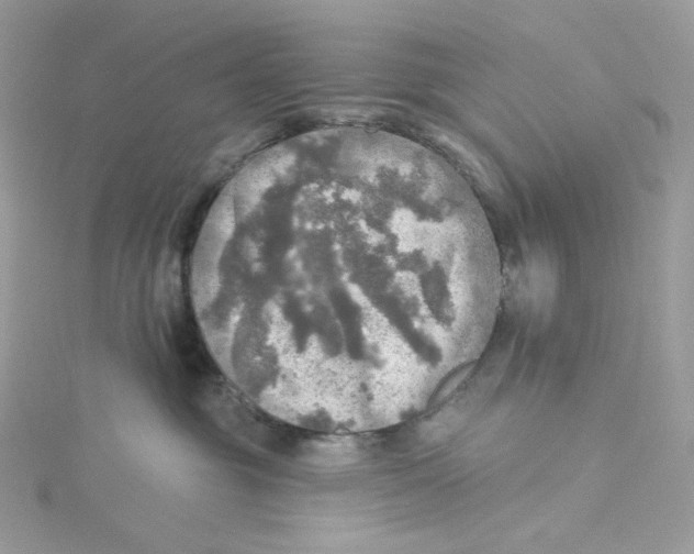 X0000114650381200911171055