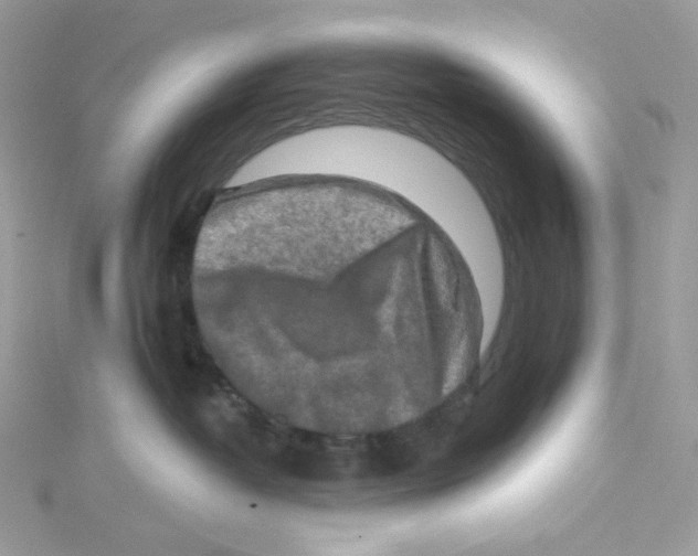 X0000114650382200911171055